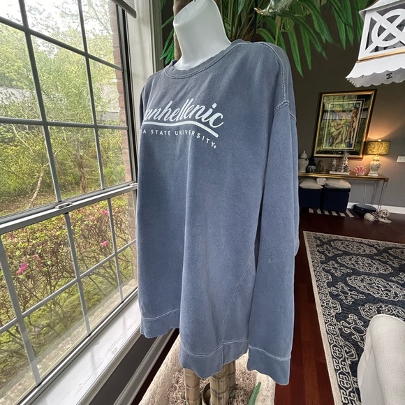 PANHELLENIC Florida State Gray Blue Oversized Sweatshirt L Comfort Colors EUC - Picture 3 of 7